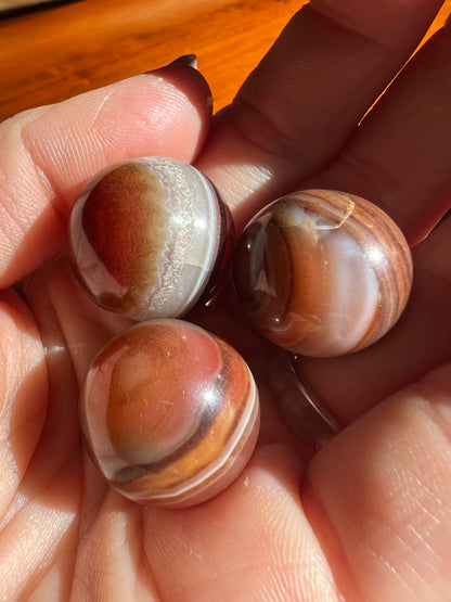 Mini Sphere Collection – Red Tiger’s Eye & Carnelian