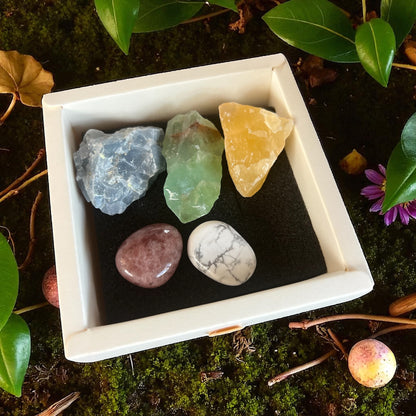 🌷 Sweet Serenity Set